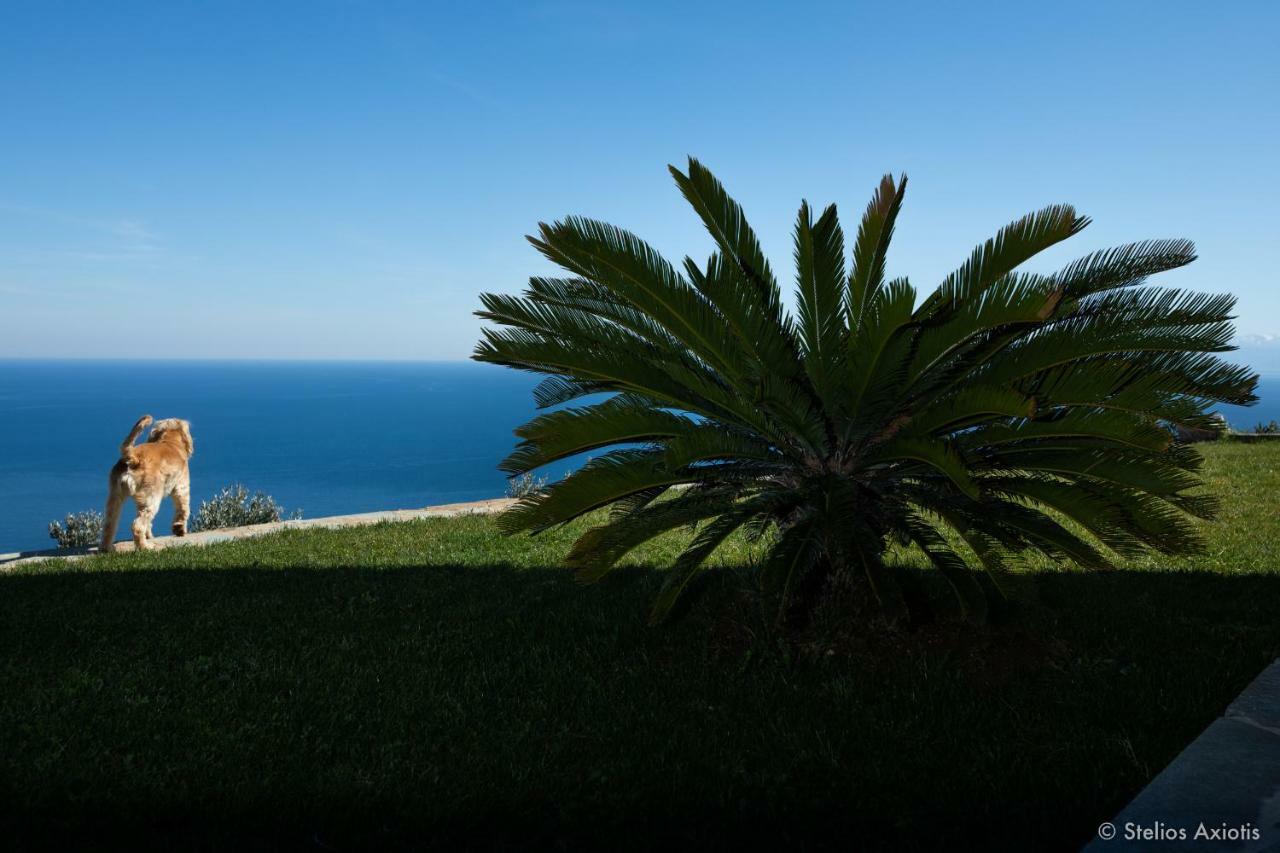 Aegean Panorama Apartments Αχλαδερή Εξωτερικό φωτογραφία